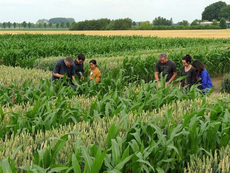 Studying Agriculture in the Netherlands provides you with many development opportunities